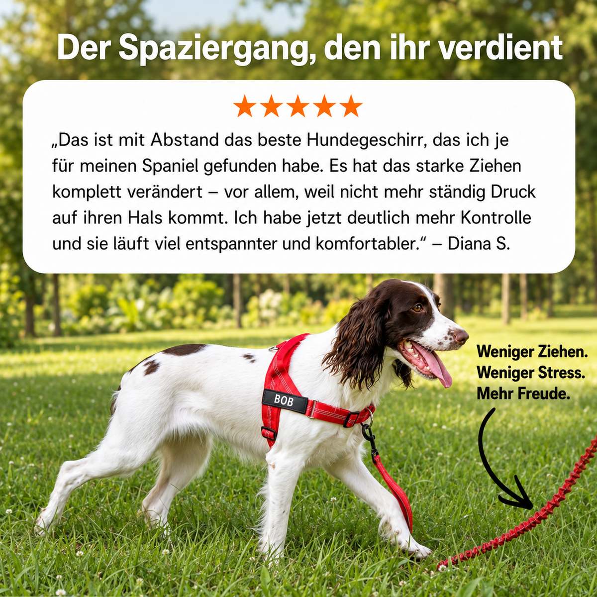 ELYNAPET - Anti-Zug Hundegeschirr