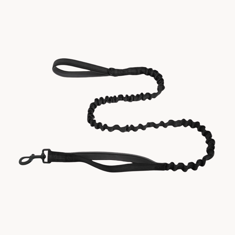 ELYNAPET Bungee-Hundeleine